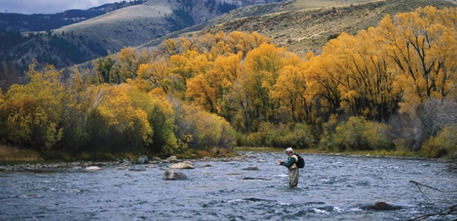 Fly Fishing the Blue River Near Breckenridge Colorado by Pat Dorsey