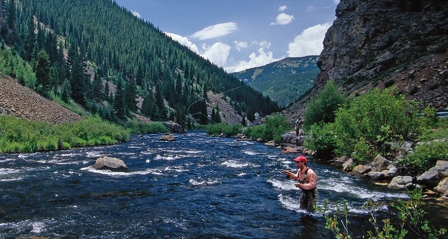 Information for Best Tailwater Fly Fishing in Colorado by Pat Dorsey