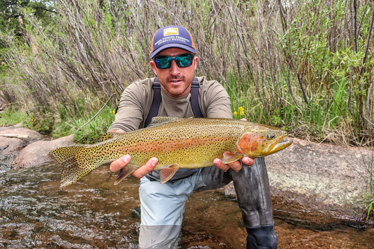 Fall Colorado Fishing - LETS BREAK SOME PBs! 