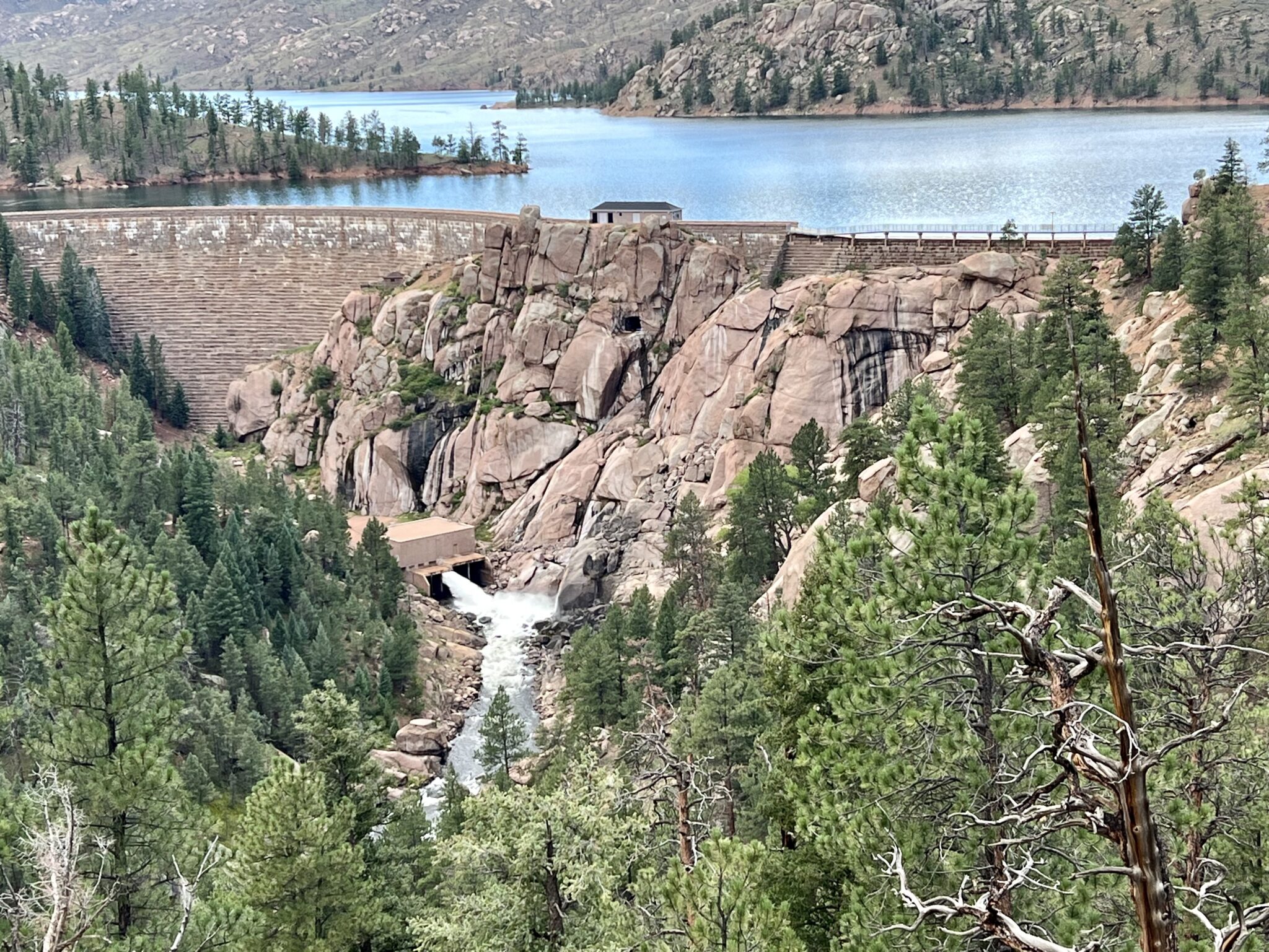 Cheesman Canyon Update - Pat Dorsey Fly Fishing